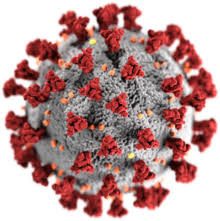 Coronavirus — Wikipédia
