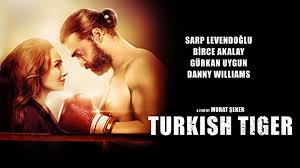 Son bir yıldır ali ile sinem'in evliliğinde sorunlar yaşanmaktadır. Sarp Levendoglu Movies Tv And Bio
