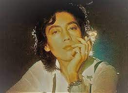 1970年代のジュリー レトロメディア 囃ハルト商店 ジュリー ハルト 美しい人