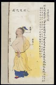 file c19 chinese ms moxibustion point chart zhoujian