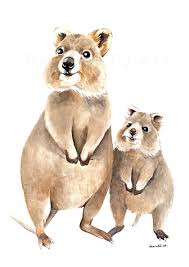 Original Watercolour Quokka Painting Australian Animal Art Baby Animals Mother And Baby Animals Australian Animals Nursery Animal Prints