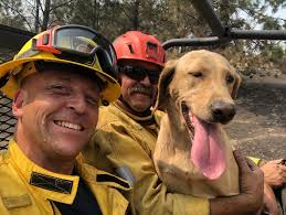 Los Angeles Fire Department Foundation