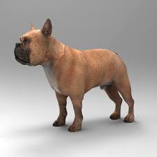 The french bulldog is a small sized domestic breed that was an outcome of crossing the ancestors of bulldog brought over from england with the local. French Bulldog 3d Model 39 Unknown Lwo Xsi C4d 3ds Ma Max Obj Free3d