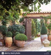 4.9 out of 5 stars with 42 ratings. Download This Stock Image Mediterranean Villa Entrance With Terracotta Pots A1dj35 Fr In 2021 Terra Cotta Pots Garden Mediterranean Garden Mediterranean Landscaping