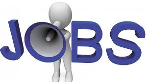 April 18, 2021april 18, 2021 ryan. No End To Fake Job Firms In Kerala
