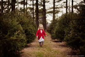 Maybe you would like to learn more about one of these? Christmas Tree Farm Family Photos Cleveland Lifestyle Photographer Cleveland Ohio Newborn Baby Maternity Family Lifestyle Newborn Photography
