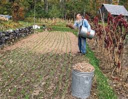 Pin On Organic Gardening
