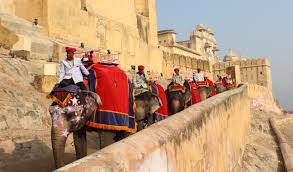 Have An Experience Of Elephant Ride In India S One Of The Most Biggest Forts Amber Fort Overnight Jaipur Tour Is The Famous Tou India Tour India Travel Jaipur