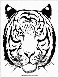 Realistic Tiger Coloring Pages Realistic Tiger Face Coloring Pages Get Coloring Pages In 2020 White Tiger Tattoo Tiger Face Tiger Tattoo