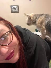 Gaming in the spare room and neighbor reactions