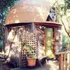 It will give your house a unique atmosphere with its particular look. 1