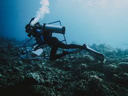 Robert ballard, reports that colleagues in his department with a doctorate and experience earn between $100,000 and $150,000 per year. The Travels And Travails Of A Marine Biologist In The Philippines