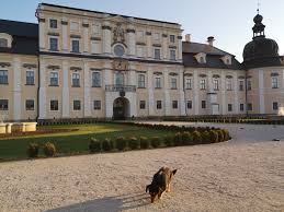 6:19 gábor miklós nagy 10 218 просмотров. Kis Ferus Andrassy Grof Alma Es A Himzo Nenik Turizmus Com