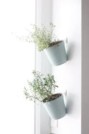 12 Brilliant Ways To Use Command Hooks In The Kitchen Indoor Herb Planter Hanging Planters Indoor Diy Hanging Planter