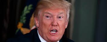 Trump Un Enfant Entete A La Maison Blanche L Actualite