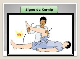 Bab.la is not responsible for their content. Le Syndrome Meninge Aux Urgences Adulte Realise Par Bouchoukh Meriem Encadre Par Pr Djennane Service Des Urgences Medico Chirurgicales Chu Batna Annee Ppt Telecharger