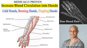 Strategies To Increase Blood Supply To Hands (Cold, Tingling, Numbness In  Hands) - Dr. Mandell, Dc - Youtube
