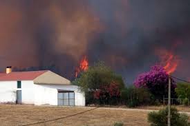 Jun 08, 2021 · toplantıda, i̇lçe orman i̇şletme şefi selçuk yılmaztürk, orman yangınları hakkında yaşanan sorunlar ile ilgili bilgiler verirken, i̇tfaiye amiri çavuşoğlu, anız yangınların. Turkiye De Orman Yangini Istatistikleri Ne Derece Guvenilir Yesil Gazete