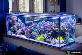 Image Result For Aquariumon Sideboard Saltwater Tank Coral Reef Aquarium Saltwater Aquarium