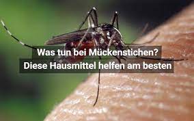 Hausmittel Gegen Muckenstiche Im Uberblick Praktischarzt