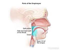 Inflammatory breast cancer is a type of breast cancer that causes the breast to become red, inflamed, and warm to the touch. Trial Validates A Less Intense Treatment For Hpv Throat Cancer