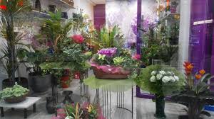 Floristería Bouquet Zamora