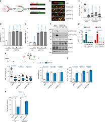 Standard industrial classification (sic) system was the older way of classifying businesses to provide new comparability in statistics about business activity across north america. Sprtn Protease And Checkpoint Kinase 1 Cross Activation Loop Safeguards Dna Replication Nature Communications