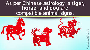 The chinese zodiac horoscope compatibility also gives a list of famous people that you can find out what you have in common with. A Very Simple Explanation Of Astrology Compatibility By Birthdate Astrology Bay