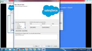 The data loader is a tool that allows users to upload records in bulk to their salesforce environment. Export Data From Salesforce Using Data Loader Step By Step Process Youtube