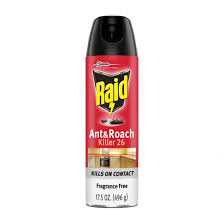 Should You Use Raid Spray To Get Rid Of House Spiders?