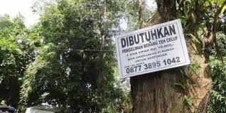Tutorial sukses kerja sampingan dibayar $20 survey online opinion world, dan penukaran point ke paypal dalam. Ini Modus Penipuan Lowongan Kerja Pengelem Teh Celup Di Yogya Merdeka Com