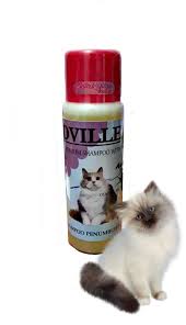 Makanan Kucing Buat Melebatkan Bulu Bulu Kucing