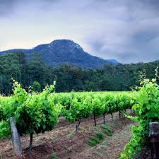 Your guide to exploring the best things to do in the hunter valley. Weather And Climate Hunter Valley