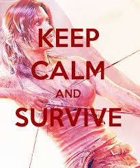 Motivational Poster Lara S Spirit Is What Is Going To Get Her Through This 3 Tomb Raider Lara Croft Tomb Raider Tomb Raider Game