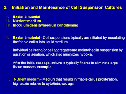 1 cell suspension cultures a. Plant Cell Tissue And Organ Culture Cell Suspension Cultures Ppt Video Online Download
