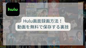 Hulu画面録画方法！動画を無料で保存する裏技
