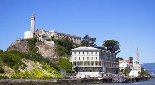 Alcatraz's current visitors experience an island that is alive with colorful plants gathered decades ago from around the world, and complemented by newly introduced plants. Alcatraz Island National Park Complete Info