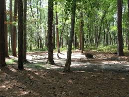 See full list on tpwd.texas.gov Goose Creek State Park Washington N C Carolina Outdoors Guide