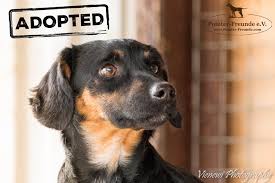 de]Vermittlung[:en]Wanted basket[:]