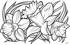 You can use our amazing online tool to color and edit the following daffodil coloring pages. Pin On Images Personal Use Public Domain