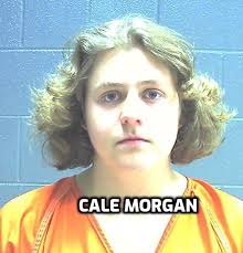 News Blotter :: Mills County Sherrif's Office