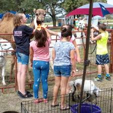 The birthday party theme is petting zoo party. Top Petting Zoos For Hire In Austin Tx 100 Guaranteed Gigsalad