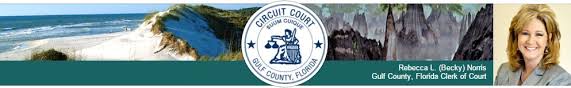 Instant checkmate is a public records search service that gives you the power to perform online search anyone in america, and you could get immediate access to their criminal records, arrest records, related court. Gulf County Ocrs
