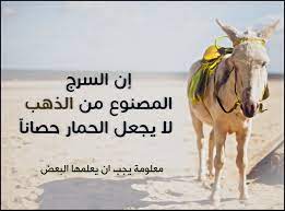 إن السرج المصنوع من الذهب لا يجعل الحمار حصانا