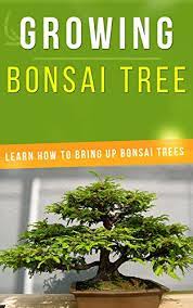Check spelling or type a new query. Growing Bonsai Tree Learn How To Bring Up Bonsai Trees English Edition Ebook Barrera Hazel Amazon De Kindle Shop