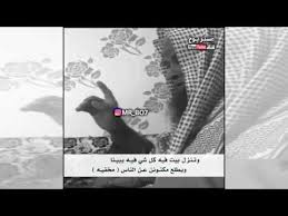 قصيدة شايب كلها حكم ودرر يازينا قبل الملاهي تجينا youtube pandora screenshot pandora