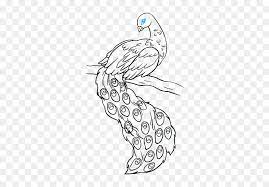 How To Draw Peacock Easy Drawing With Pencil Hd Png Download Vhv Pretty pencil peacock drawing by amy nelson. how to draw peacock easy drawing with