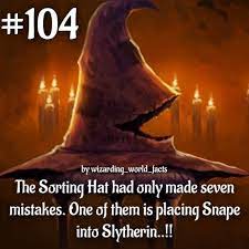 25 Dazzling Harry Potter Facts Swish Today Harry Potter Facts Harry Potter Obsession Harry Potter Universal