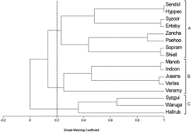 Image result for Sopubia ugandensis