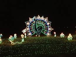 All Things Midlands Things To Do Holiday Lights In Columbia South Carolina Holiday Lights Holiday Winter Holidays